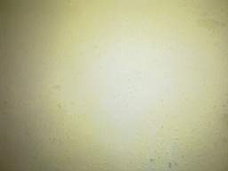 carrowcrory 6720.jpg